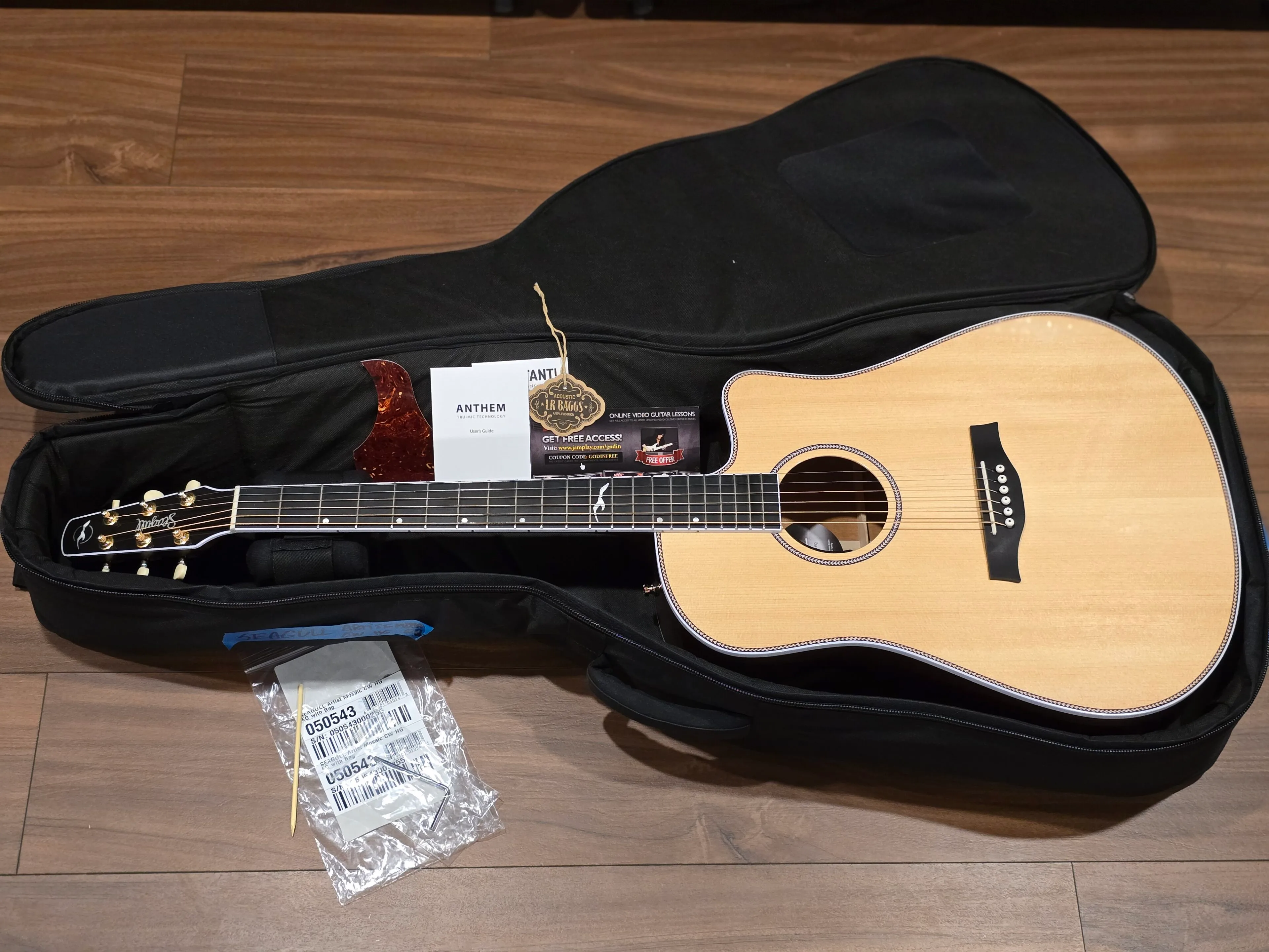 Seagull Artist Mosaic CW HG EQ – Image 3