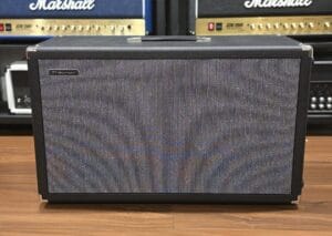 Traynor Darkhorse Series 2x 12"